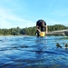 Livet i havet studeras i fält för en ökad förståelse för ekosystemet och arterna som lever där