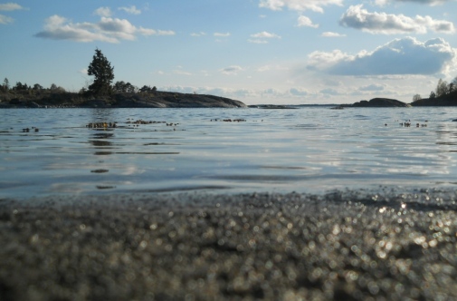 Control factors of the marine nitrogen cycle