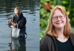 Isabell Klawonn, Department of Ecology, Environment and Plant Sciences, Stockholm University and Helle Plough, Department of Ecology, Environment and Plant Sciences, SU & Dept. of Marine Sciences, University of Gothenburg