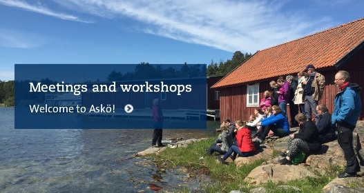Meetings and workshops at Askö