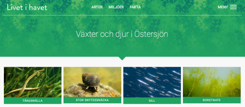 Fälthandboken presenterar över 250 söt- och saltvattensarter och de speciella levnadsförhållanden som finns i Östersjön.