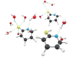 Structures of solvated mercaptopyridines