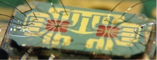 Quantum materials characterization Quantum materials characterization