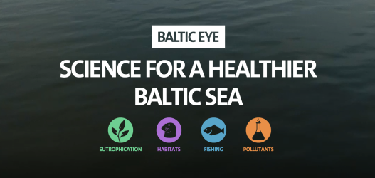 Baltic Eye EngMF