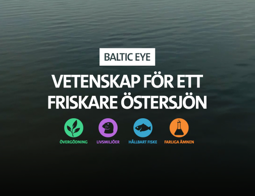 Baltic Eye webbmagasin