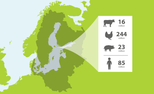Each year, 23 million pigs, 16 million cows, and 244 million chickens in the catchment together prod