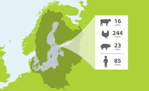 Livestock producing manure in the catchment Each year, 23 million pigs, 16 million cows, and 244 million chickens in the catchment together prod