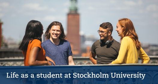 Students in central Stockholm Photo: Niklas Björling