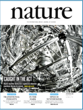 XENON Experiment featured on Nature Magazine cover