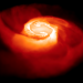 Computer simulation of a merger of two neutron stars