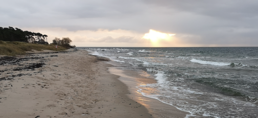 Solnedgång, strand  