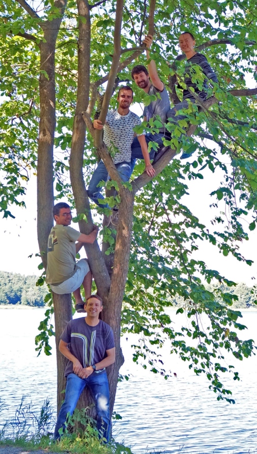 The group tree Team working on the Rydberg project in 2016.
