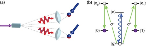 QND detection and heralded absorption of photonic entanglement.