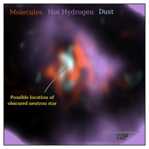 An image showing that molecules, hot hydrogen gas, and hot dust are not co-located near SN1987A.