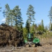 Skogsavverkning