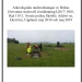 Omslag till rapport om Birka för utgrävningar 2018-2019
